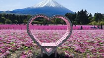 Mt Fuji Private Tour with English Speaking Driver