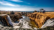 Private Fayoum Oasis Tour from Cairo by Van