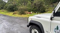Tour 4x4: Porto Moniz, between mountains and sea