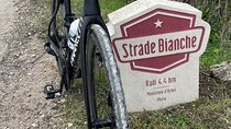 Chianti Bike Tour and Wine Tasting