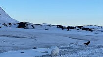Silver Circle Private Tour from Reykjavík