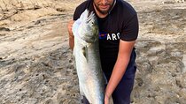 Fishing by the sea with an authentic Agadir local