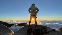 Mt. Fuji Climbing Tour with English Guide