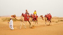 Sunset Camel Trek with Sandboarding and Lavish BBQ Dinner Buffet