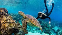  Bali Blue Lagoon Snorkeling with Ubud Tropical River Pool Bar