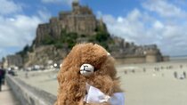 Small Group Mont Saint Michel and D-Day tour by Mini-van 