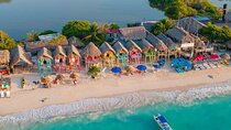 National Aviary and Playa Blanca Private Tour