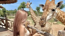 Dubai Safari Park and Explorer Safari Tour with Transfer