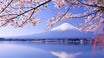 1 Day Trip to Mt. Fuji and in Five Lakes around the area 