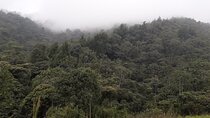 Discover the Camino de la Guaca in Medellin 