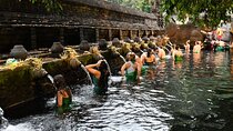 Ubud Day Tour