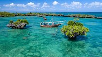 Safari Blue Full-Day Experience with Gourmet Lunch – Zanzibar