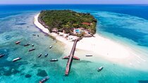 Prison Island Discovery Tour – Half-Day with Transport - Zanzibar