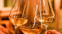 Wine tasting in Strasbourg: discovery of Alsace wines