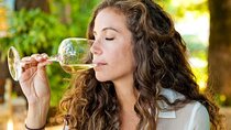 Wine Tasting Tour to Stellenbosch and Franschhoek from Cape Town