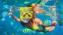 Snorkeling at Blue Lagoon and Tanjung Jepun All Included
