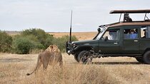 3 Days Maasai Mara Budget Safari From Nairobi