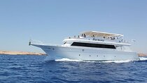 Magaweesh Island Snorkeling Trip with Water Sports