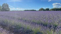 Provence pearl of southern France 