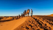 From Marrakech: 3-day Merzouga Desert, Quad & Camel + Dinner Show