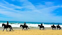 Horseback Ride & Alcatraz Prison Tickets 