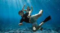 First Timers and Non-Swimmers Snorkeling Experience in Wailea 
