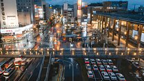 Tokyo To/From Nagano Private Luxury One way Car Transfer