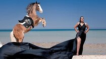 Horse Riding Tour 2 Hours Sea & Desert With Transfer - Hurghada
