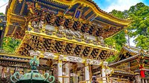 Tokyo Fuji Nikko Kamakura Private Tour