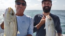 Half-Day Backcountry Fishing Charter from Key West