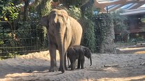Zurich Zoo Tour with Transportation Included