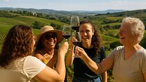 Florence: Great Chianti Wine and Olive Oil Trail with Lunch