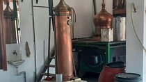 Small Group: Knossos, Olive Oil, Winery & raki with Lunch 