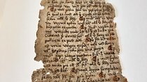 Old Icelandic Books Experience