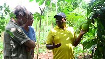 Explore Full Day Jozani Village Visit In Zanzibar