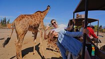 Safari Park