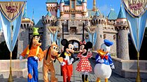 Private Disney Area Hotels To or From LAX Airport Transfer