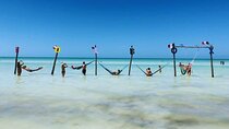 Holbox Island Experience with Lunch