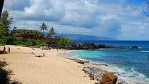 Oahu Private Tour North Shore, Waimea Falls and Dole Plantation