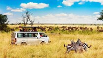 3 Days Gamedrive Safari In Masai Mara From Nairobi