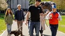 Boston's Freedom Trail: A Revolutionary Walking Tour 