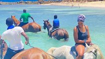 Horseback Riding Adventure on the Beaches of Saint Ann