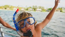 Mauna Kea 2hr One Stop Sealife Snorkel Adventure