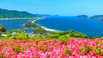 Explore Amanohashidate & Ine Bay: Day Tour from Osaka