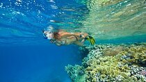 Marsa Mubarak Half-Day Sunset Snorkeling Adventure with Dinner