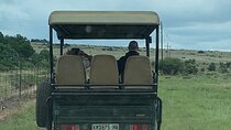 Kruger National Park South Africa 