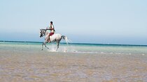 2 Hours Horse Riding Adventure in The Sea and Desert 