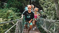 Turtle Snorkeling Jungle Adventure + Zipline and Rappel in Cenote