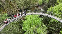 Capilano Br+Grouse Mtn+Dam+Lake+Hatchery/5in1CarTour+Small Group 