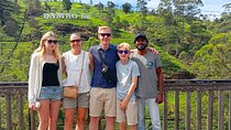 Private Taxi Service Around Sri Lanka with Airport Pickup & Drop